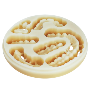 PMMA CAD-CAM MULTILAYER